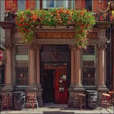"The Stag's Head" (tête de cerf) situé au 1 Dame Court : fauteuils de cuir, comptoir en marbre et acajou, un pub magnifique où l'on mange très bien (rare en Irlande). De quand date ce pub ?