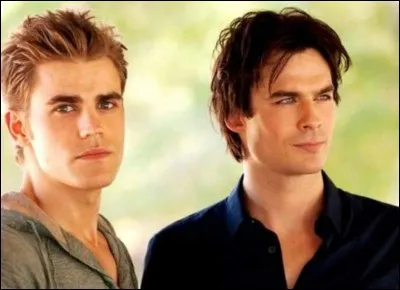 Quel est le secret de Damon et Stefan ?