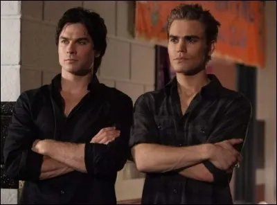 Quel est le nom de Damon et Stefan ?