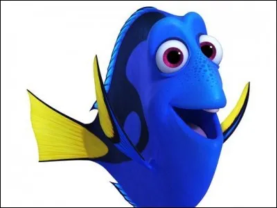 Comment est Dory ?
