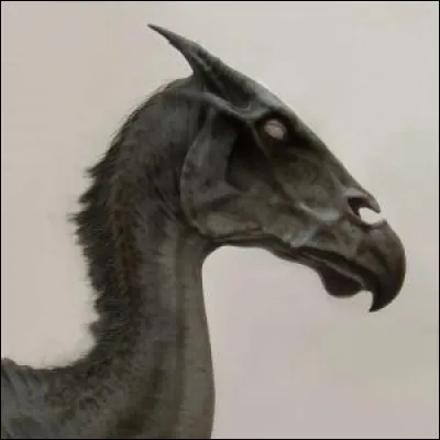 Quel est cet animal ?