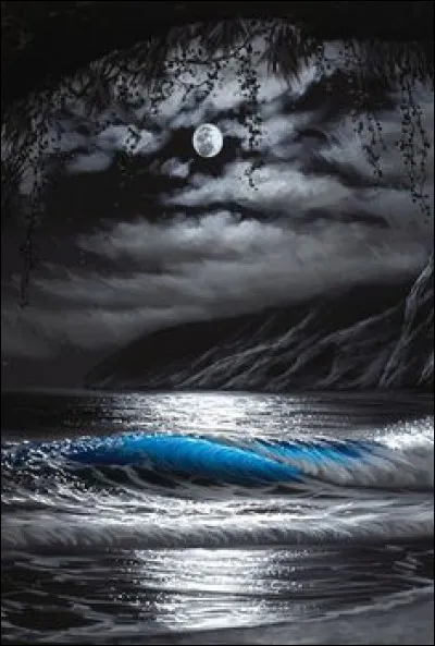 Où est située la mer des Sargasses ?