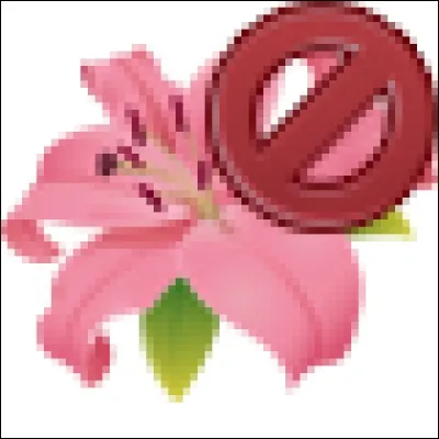 Commençant par "po", il provoque parfois des allergies :