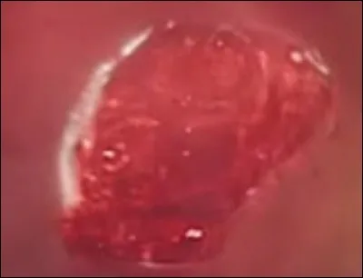 Où était la Pierre de la Réalité ?