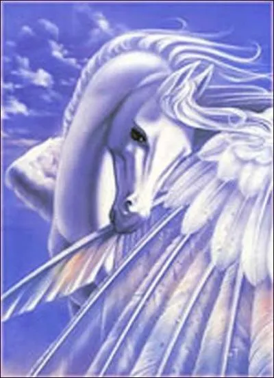 Comment Pgase est-il n ?