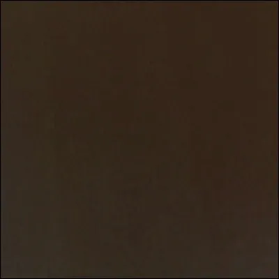 David et Jessica sont...