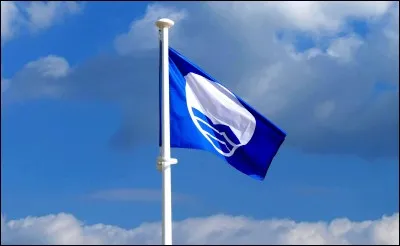 Robin est mort parce que...