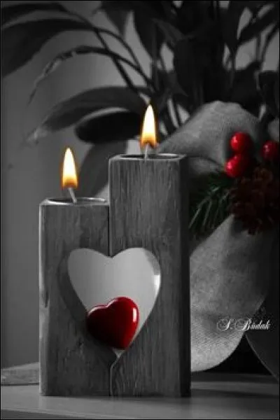 Qui chantait "ça restera comme une lumière qui me tiendra chaud dans mes hivers, un petit feu de toi qui s'éteint pas" dans son album "Confidentiel" ?