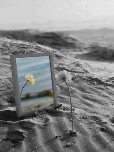 De quelle couleur est la lumière nocive procurée par les écrans (TV et ordinateurs) ?