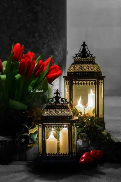 Qui a écrit le livre "Shining, l'enfant lumière" ?