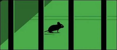 Et, toujours dans le même roman, comment Edouard Delacroix a-t-il appelé sa petite souris ?