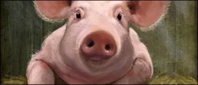 Laquelle de ces affirmations est fausse ?