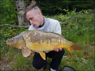 Quel est ce poisson ?