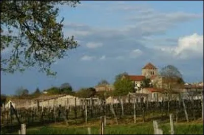 Je vous propose une balade en Nouvelle-Aquitaine, à Montagne. Village du vignoble de Montagne-Saint-Émilion, il se situe dans le département ...