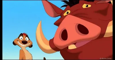 Quelle est la chanson que Timon et Pumbaa chantent lorsqu'ils ne sont pas bien ?