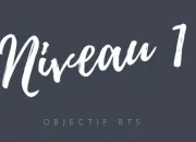 Quiz Entranement BTS CI