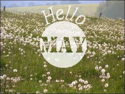 Quel est le signe astrologique d'une personne née le 5 mai ?