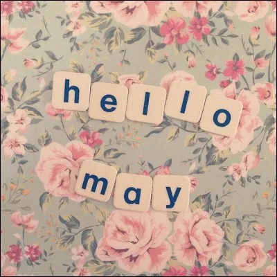 Complétez le proverbe suivant : ''Pour chaque  vient son mois de mai." ?