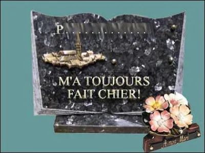 Ceci n'est pas une annonce faite à Marie, ni le repos du septième jour... Probablement laissé par un réfractaire à la littérature. à qui s'adresse cet épitaphe rageuse ?