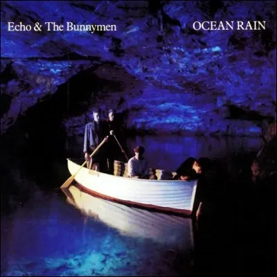 "Echo and the Bunnymen" est un groupe de...