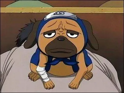 Je suis un chien ninja invoqué par Kakashi.