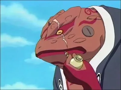 Je suis invoqué par Jiraya.