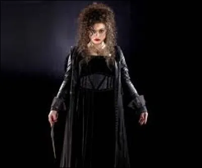 Qui joue le rôle de Bellatrix Lestrange ?