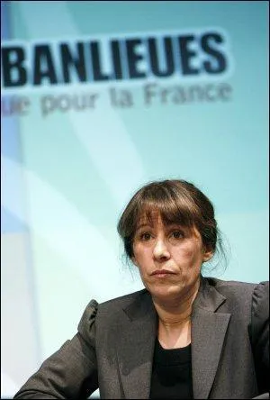 Quelle dclaration de Fadela Amara a beaucoup nerv la marque Krcher?