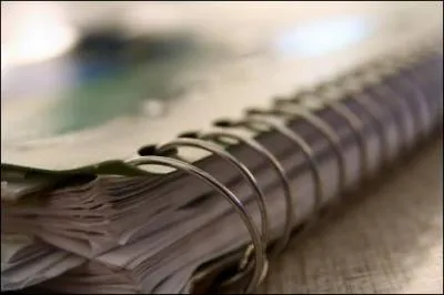 Le directeur de l'cole de management de Bordeaux fustige l'influence de la presse sur la rputation des coles. A quel propos ?