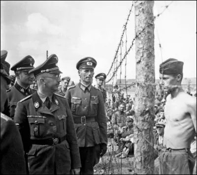 Qu'il avait l'air fin, l'empaphé d'Himmler avec sa tête de comptable et sa gampette ridicule... Mais qu'est-il arrivé à ce Horace Greasley, qui le toise sans complexe ?