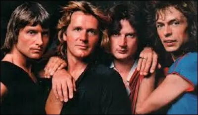 Quel groupe a chanté ''Owner of a Lonely Heart'' ?