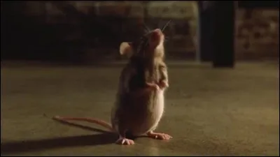 Colosse, souris, chaise électrique, à vos clics !