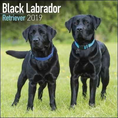 Le Labrador est une région...