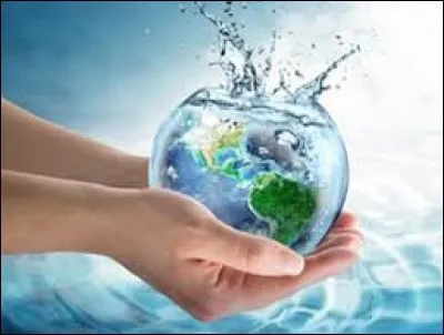 Et pour finir, quel est ton élément préféré ?