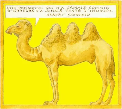 Que contiennent ces bosses ?