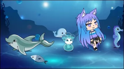 Quelle est ta qualit&eacute; ?