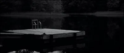 Qu'est-ce qui agresse les ados dans la nouvelle "Le Radeau" ?