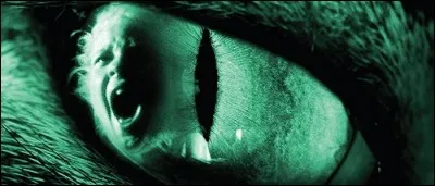 Lequel des sketches du film "Cat's Eye" est le seul qui ne soit pas une adaptation d'une des nouvelles de King ?