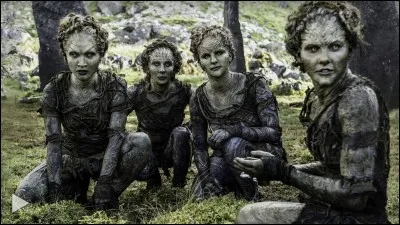 Que fut la première action des enfants le la forêt pour mettre fin aux invasions des premiers hommes sur Westeros ?