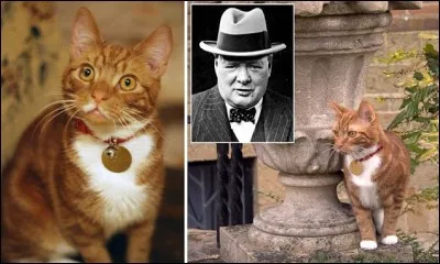 Et quel était le nom de son matou roux adoré ?