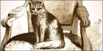 Quel était le nom du chat du pape Léon XII et de Chateaubriand ?