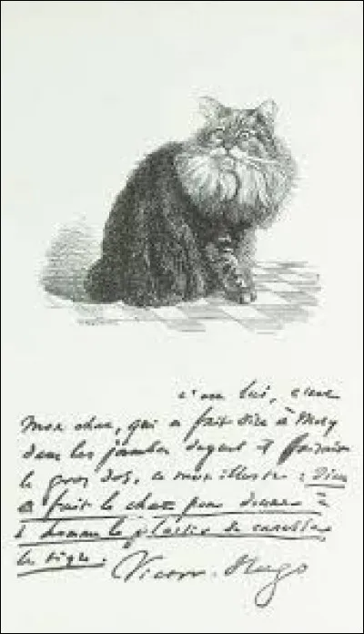 Comment se prénommait le chat de Victor Hugo ?