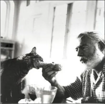 Avec quel chat Hemingway a-t-il vécu à la capitale ?