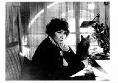 Comment se nommait la chatte de Colette ?