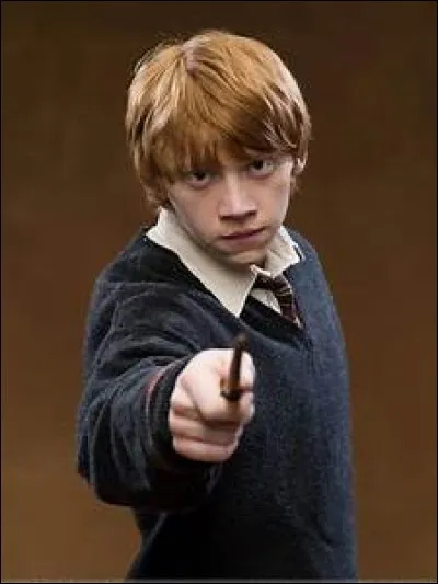 Combien Ron Weasley a-t-il de frères ?