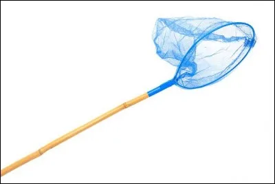 Un bon petit diable, dans la fleur de l'âge ...