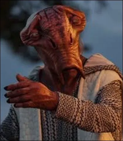 Quel est ce personnage ?