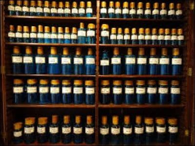 Que veut dire opodeldoch ?