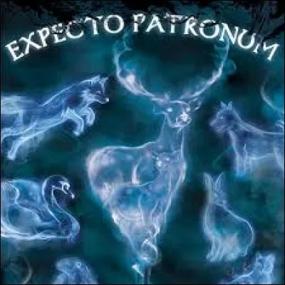 Quel est le patronus de Luna ?