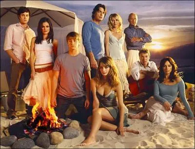 Quel clbre groupe chante le gnrique de la srie ?